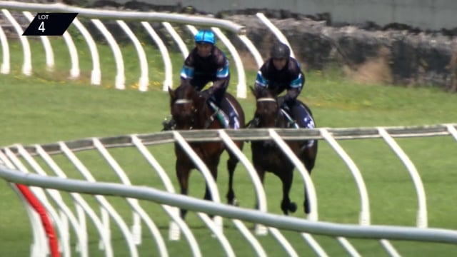 Lot 4