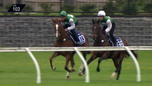 Lot 103