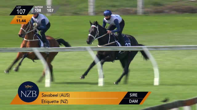 Lot 107