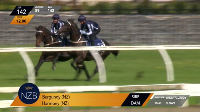 Lot 142