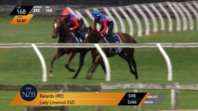 Lot 168