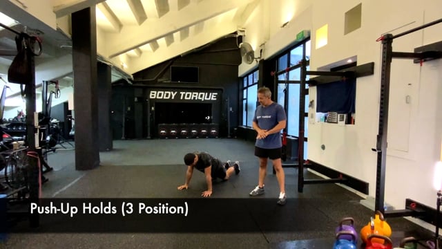 Push-up Holds (3 positions)