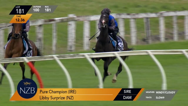 Lot 181
