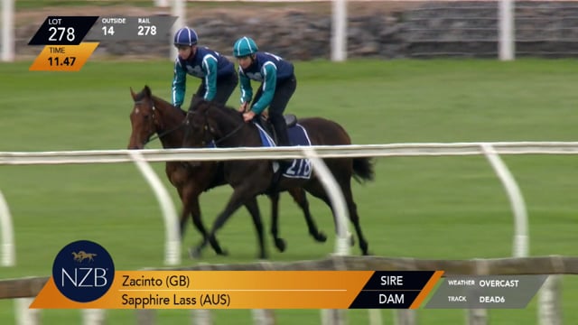 Lot 278
