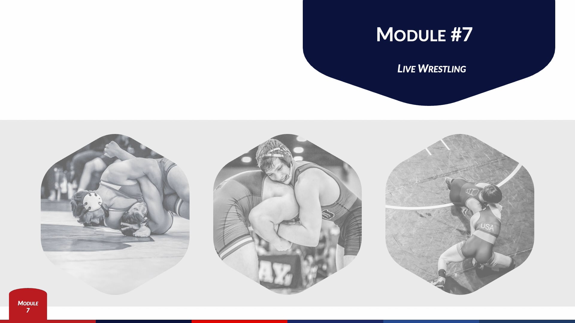 Module 7 - Live Wrestling