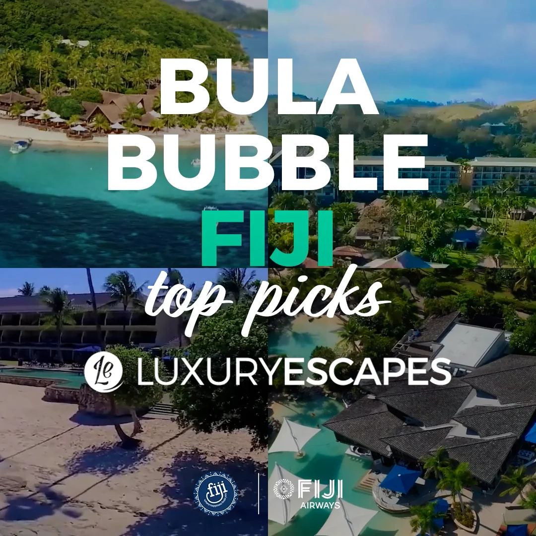 FIJI BULA BUBBLE_SQUARE WITH LOGO on Vimeo