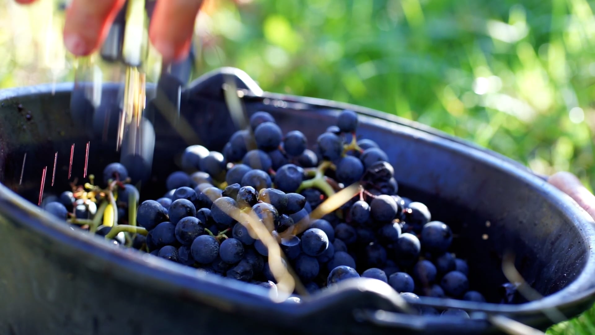 Château Féret-Lambert