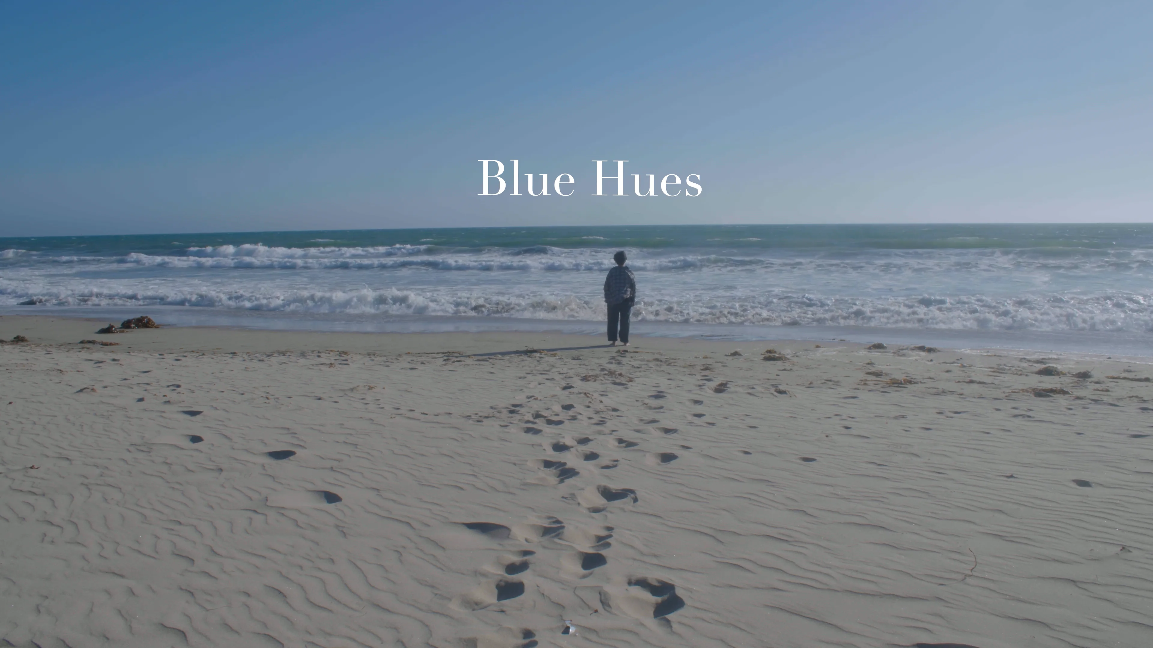 Blue Hues 