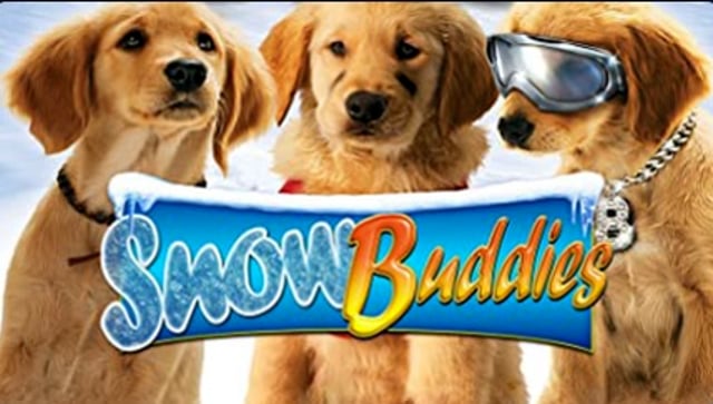 The Snow Buddies Movie Disaster