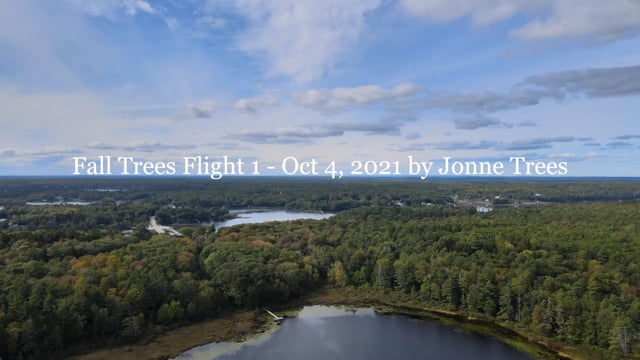 Fall Trees Flight - Oct 4, 2021