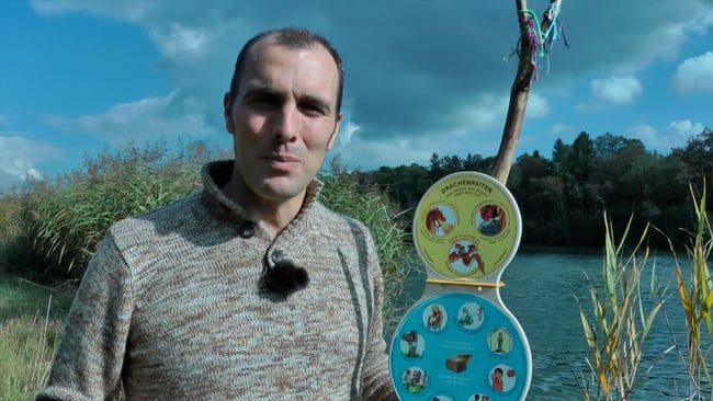 Wut begleiten - Der Drachenreiter:innen-Prozess