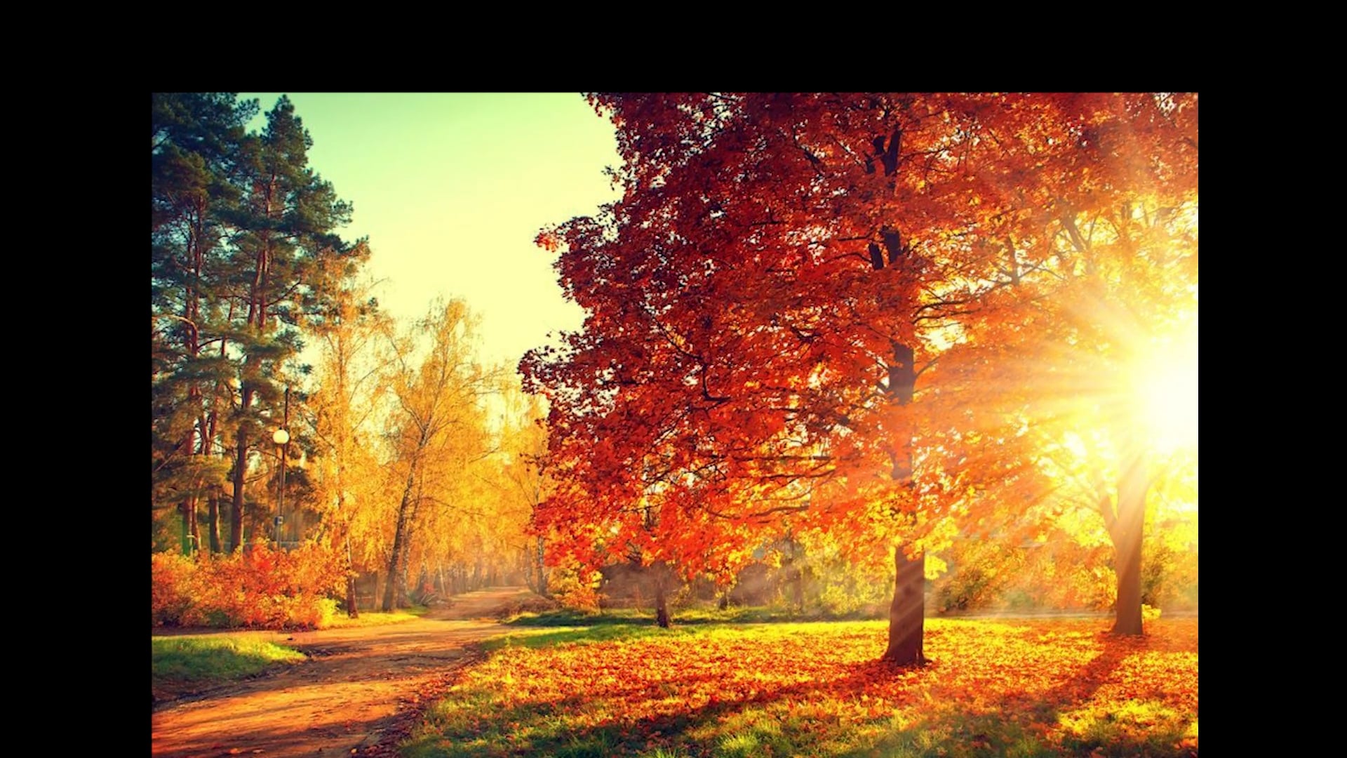 Animation.mp4 on Vimeo