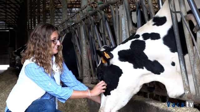 Que é a sección de AgroMentores?