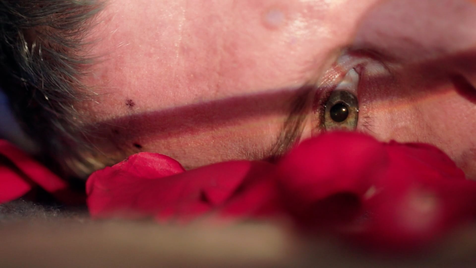 Eric Nally - Spirits (Directors Cut)