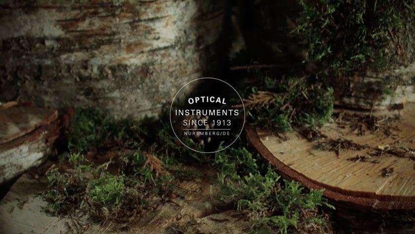 vimeo-video-thumbnail