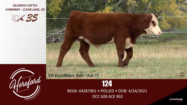 Lot #35 - 124