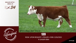 Lot #34 - 139