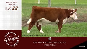 Lot #33 - 10