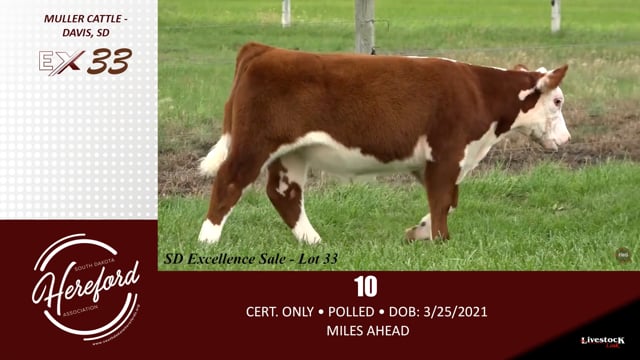 Lot #33 - 10