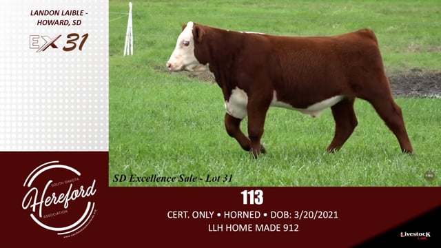 Lot #31 - 113