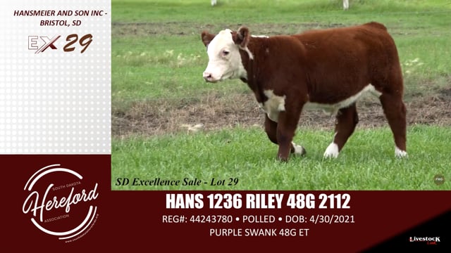 Lot #29 - HANS 1236 RILEY 48G 2112