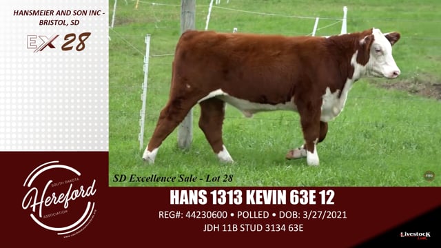 Lot #28 - HANS 1313 KEVIN 63E 12