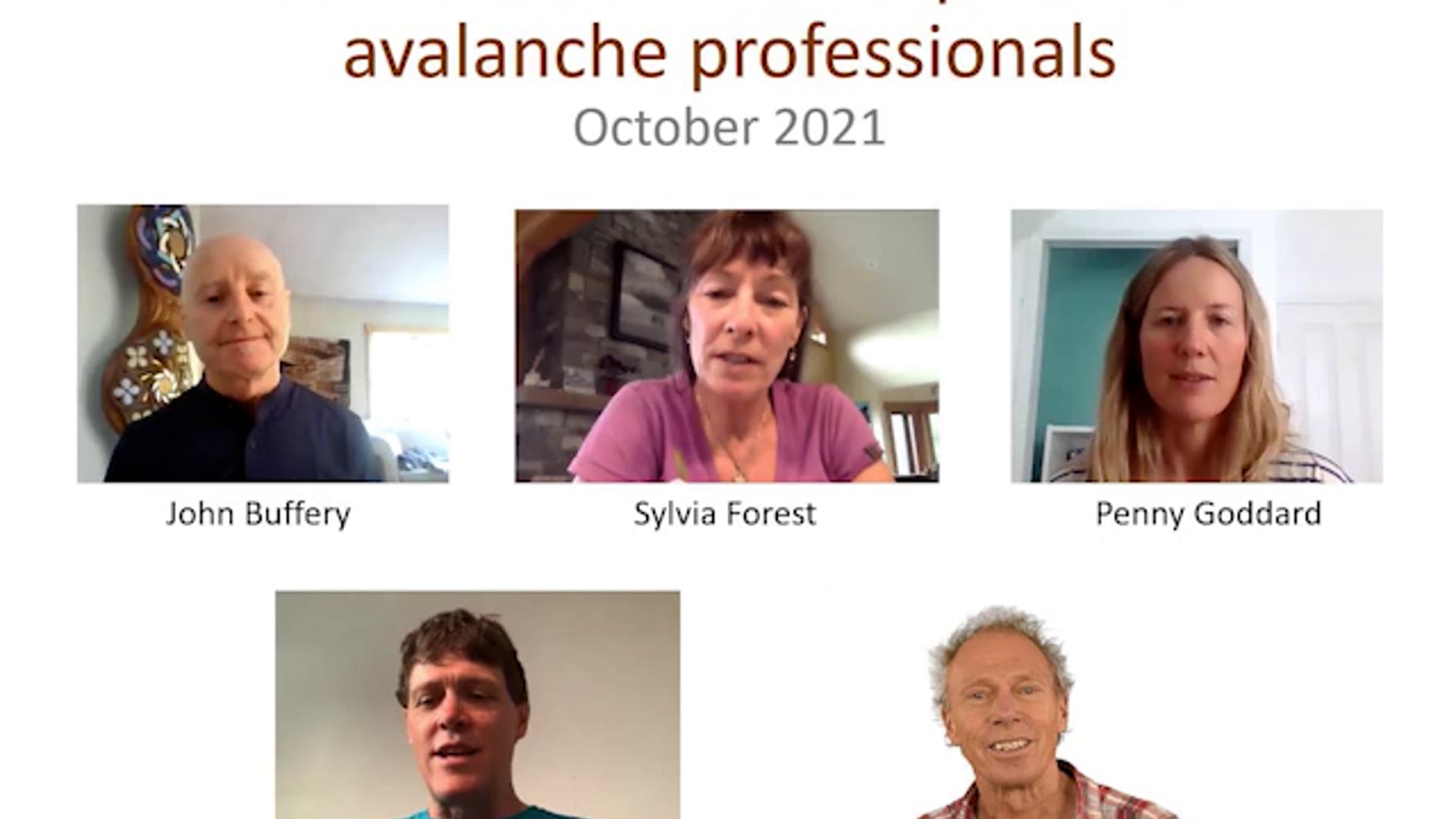 What works for five experienced avalanche professionals