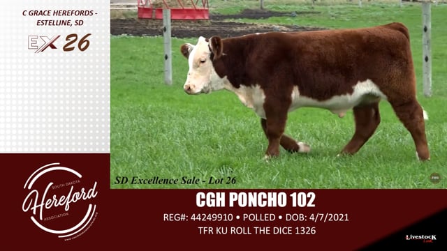 Lot #26 - CGH PONCHO 102