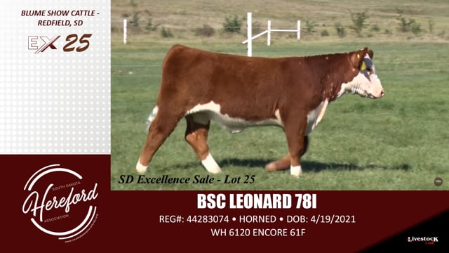 Lot #25 - BSC LEONARD 781