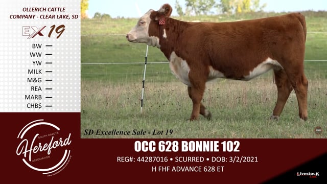 Lot #19 - OCC 628 BONNIE 102