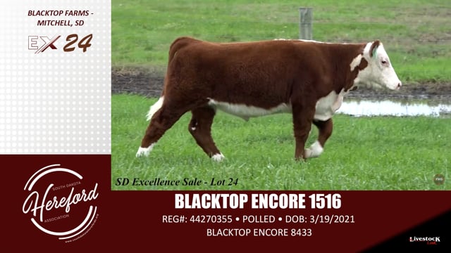 Lot #24 - BLACKTOP ENCORE 1516