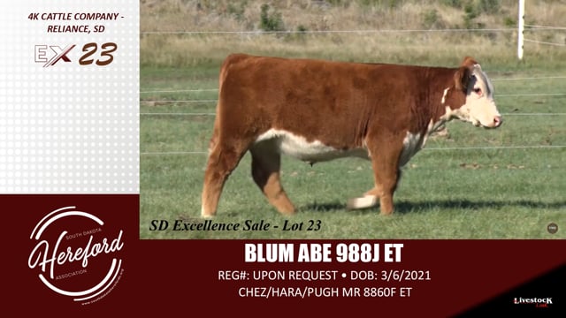 Lot #23 - BLUM ABE 988J ET