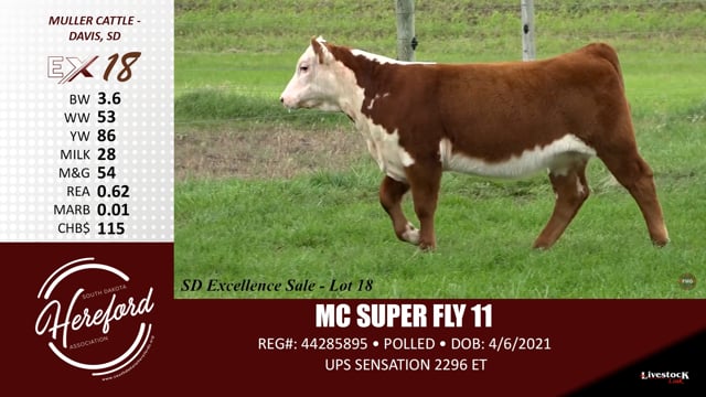 Lot #18 - MC SUPER FLY 11