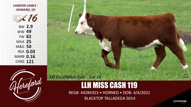 Lot #16 - LLH MISS CASH 119