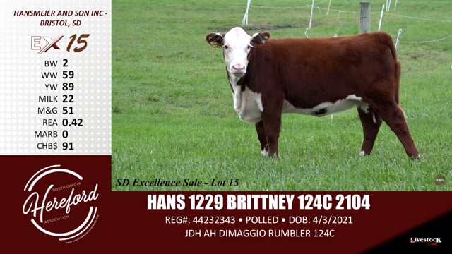 Lot #15 - HANS 1229 BRITTNEY 124C 2104