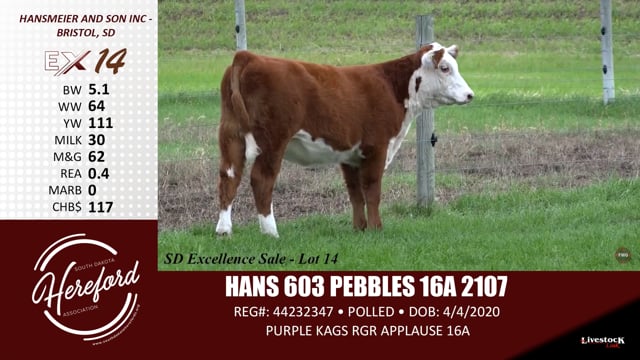 Lot #14 - HANS 603 PEBBLES 16A 2107