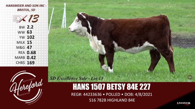 Lot #13 - HANS 1507 BETSY 84E 227