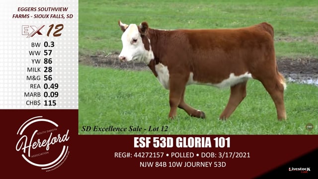 Lot #12 - ESF 53D GLORIA 101