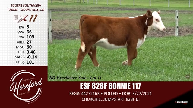 Lot #11 - ESF 828F BONNIE 117