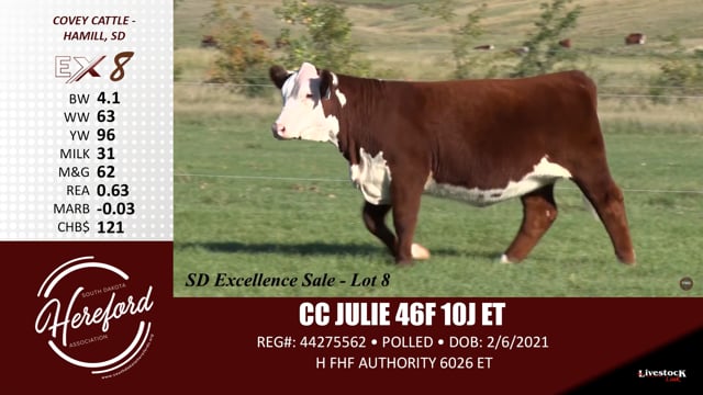 Lot #8 - CC JULIE 46F 10J ET