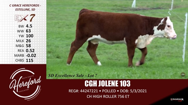 Lot #7 - CGH JOLENE 103