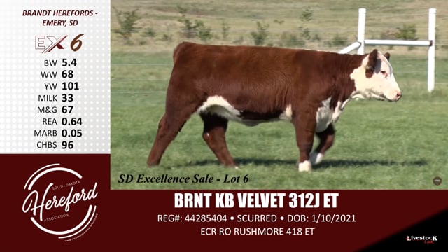 Lot #6 - BRNT KB VELVET 312J ET