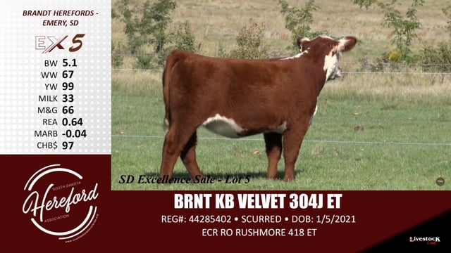 Lot #5 - BRNT KB VELVET 304J ET