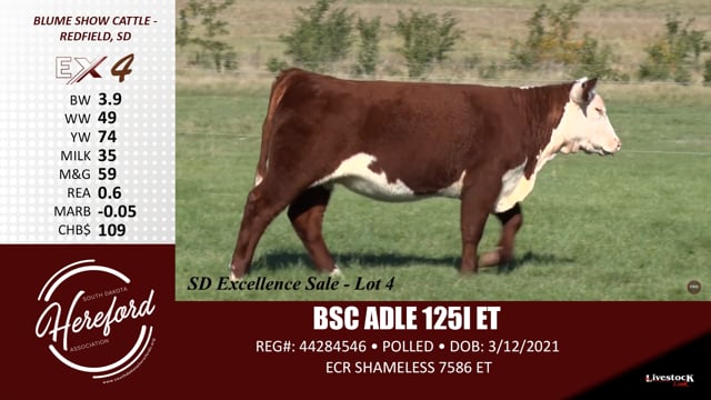 Lot #4 - BSC ADLE 1251 ET