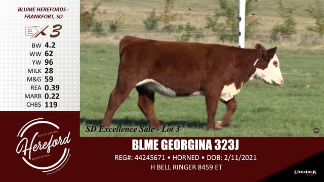 Lot #3 - BLME GEORGINA 323J