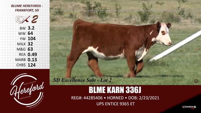 Lot #2 - BLME KARN 336J