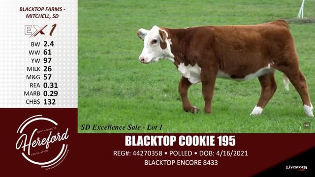 Lot #1 - BLACKTOP COOKIE 195