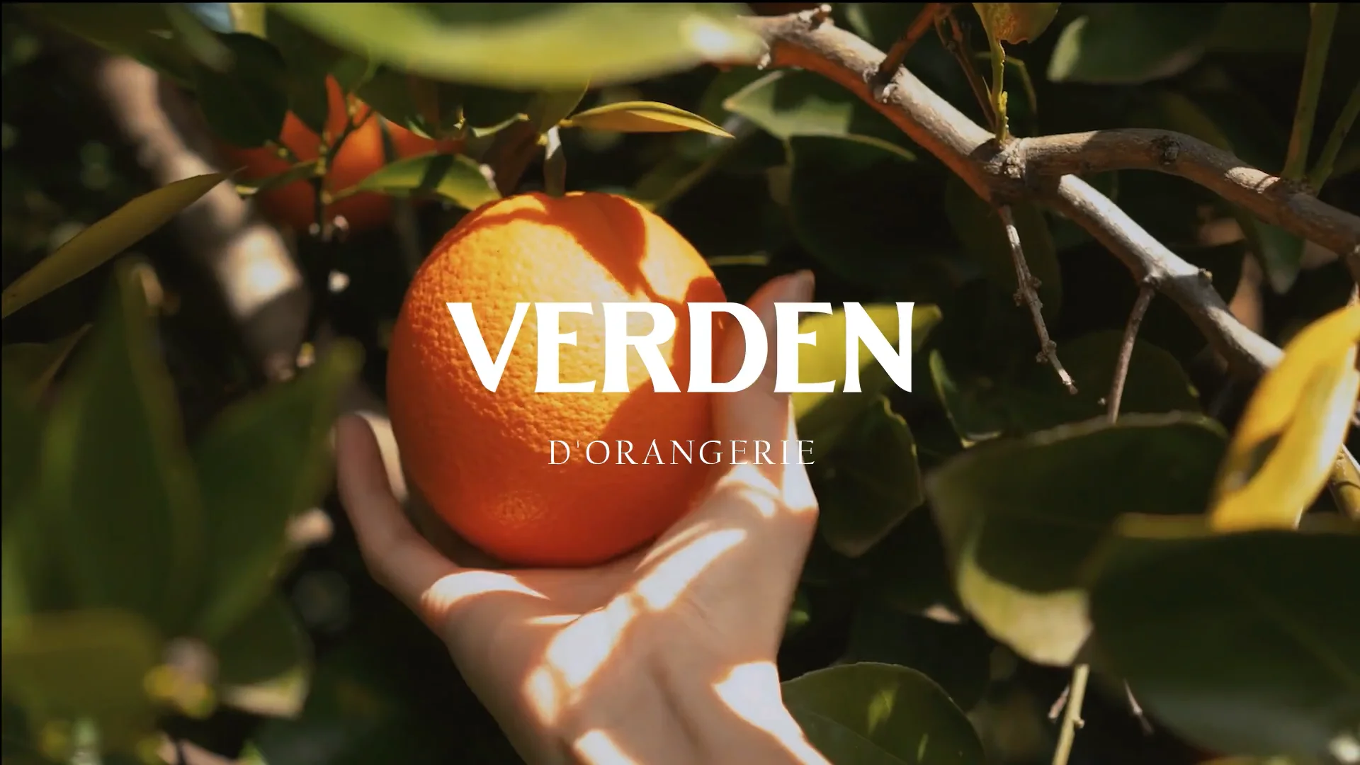 VERDEN D'orangerie Hand Cream | Votary Luxury Skincare - VOTARY US