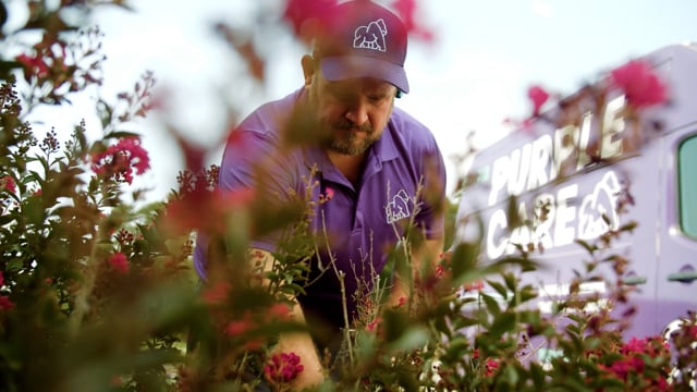 3.PurpleCare_Landscaping