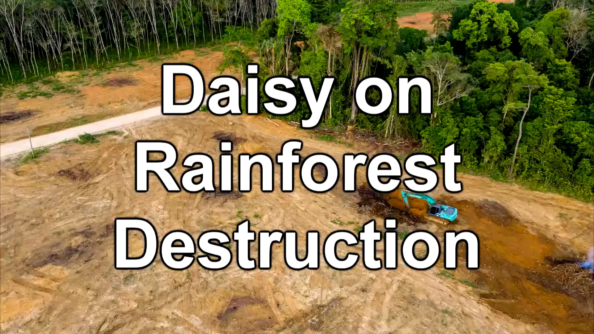 Daisy on Rainforest destruction_1.mp4  